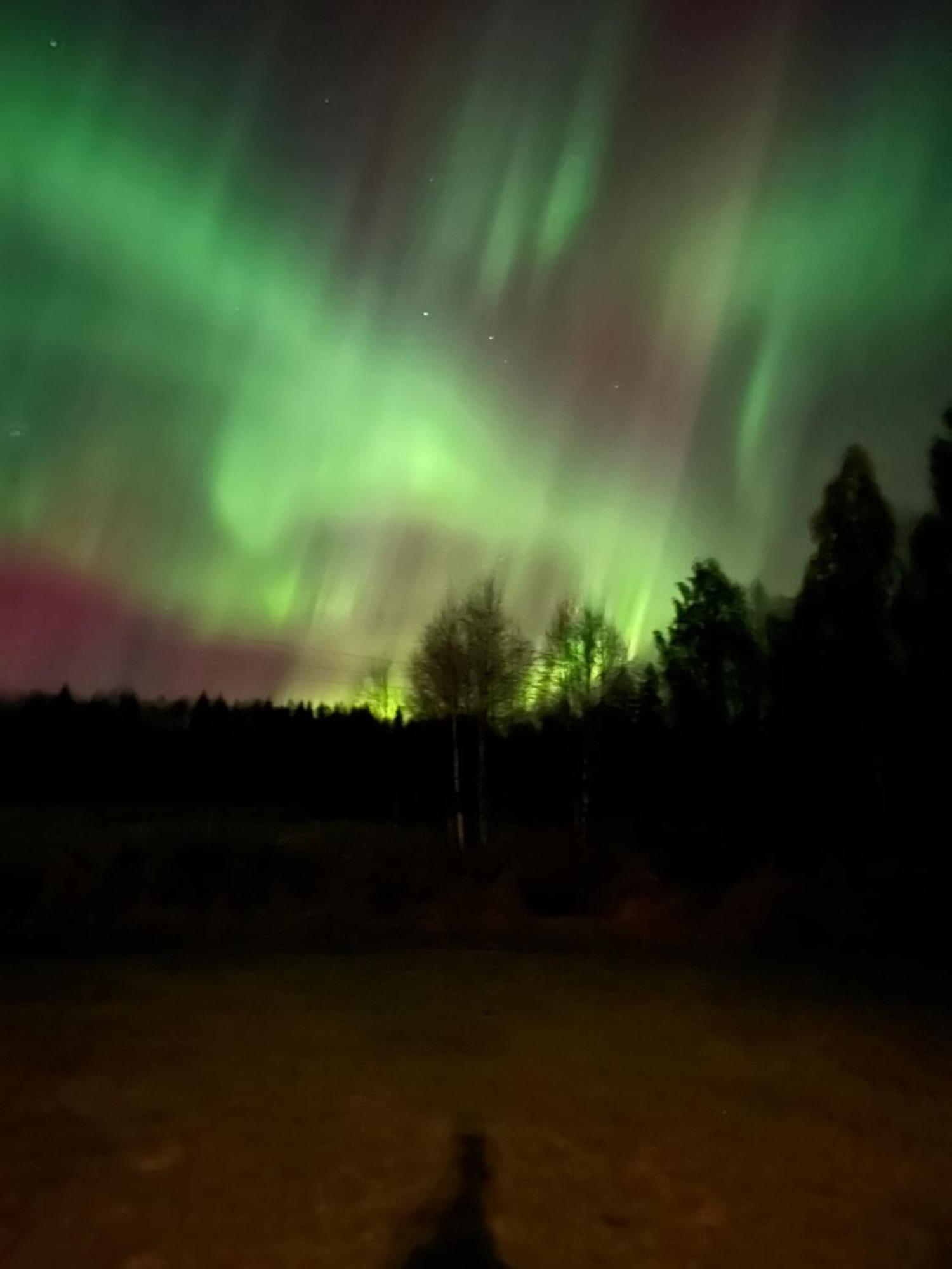 Villa Nightsky Rovaniemi Exteriör bild